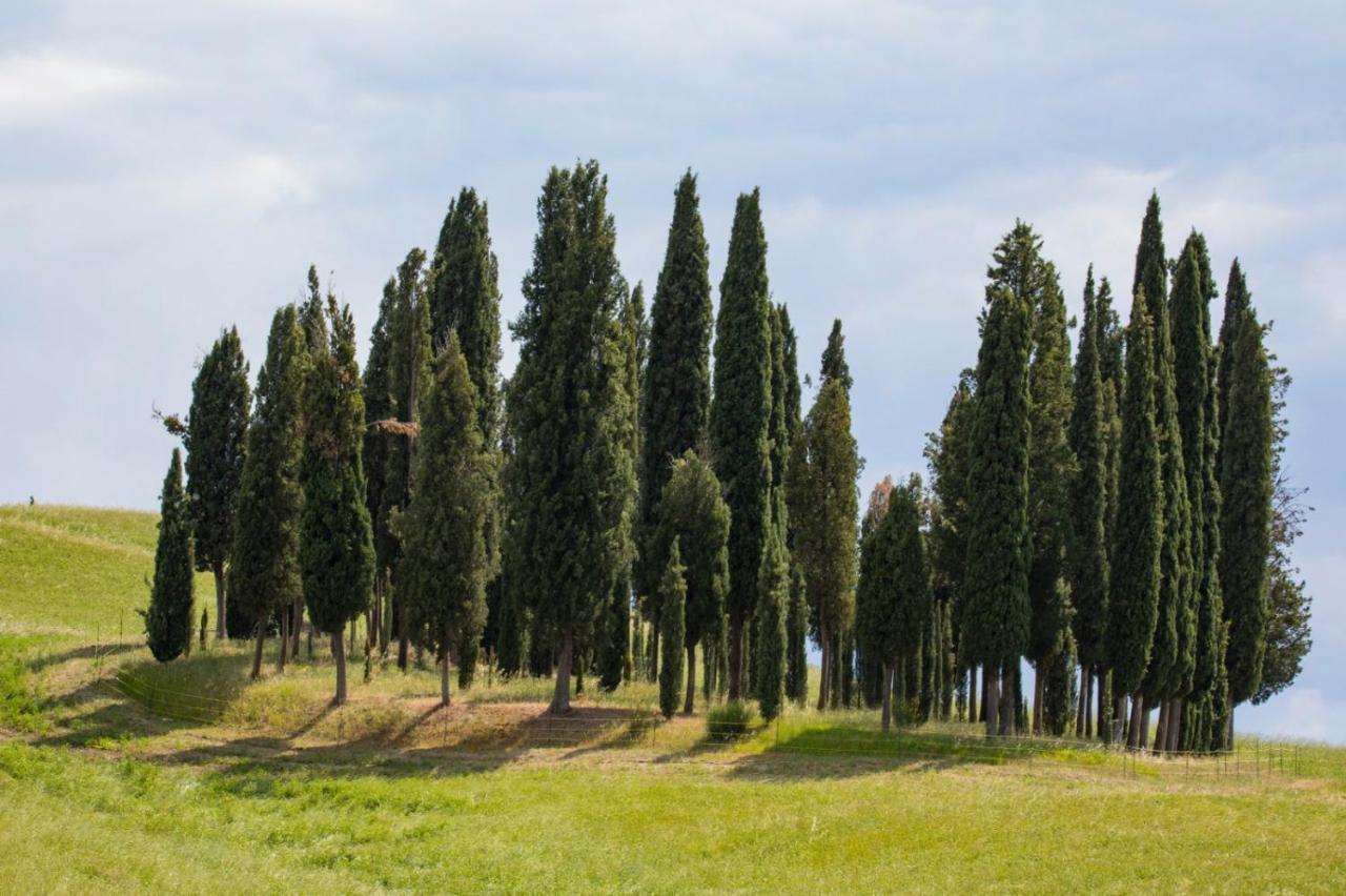 Agriturismo La Poderina バーニョ・ヴィニョーニ エクステリア 写真