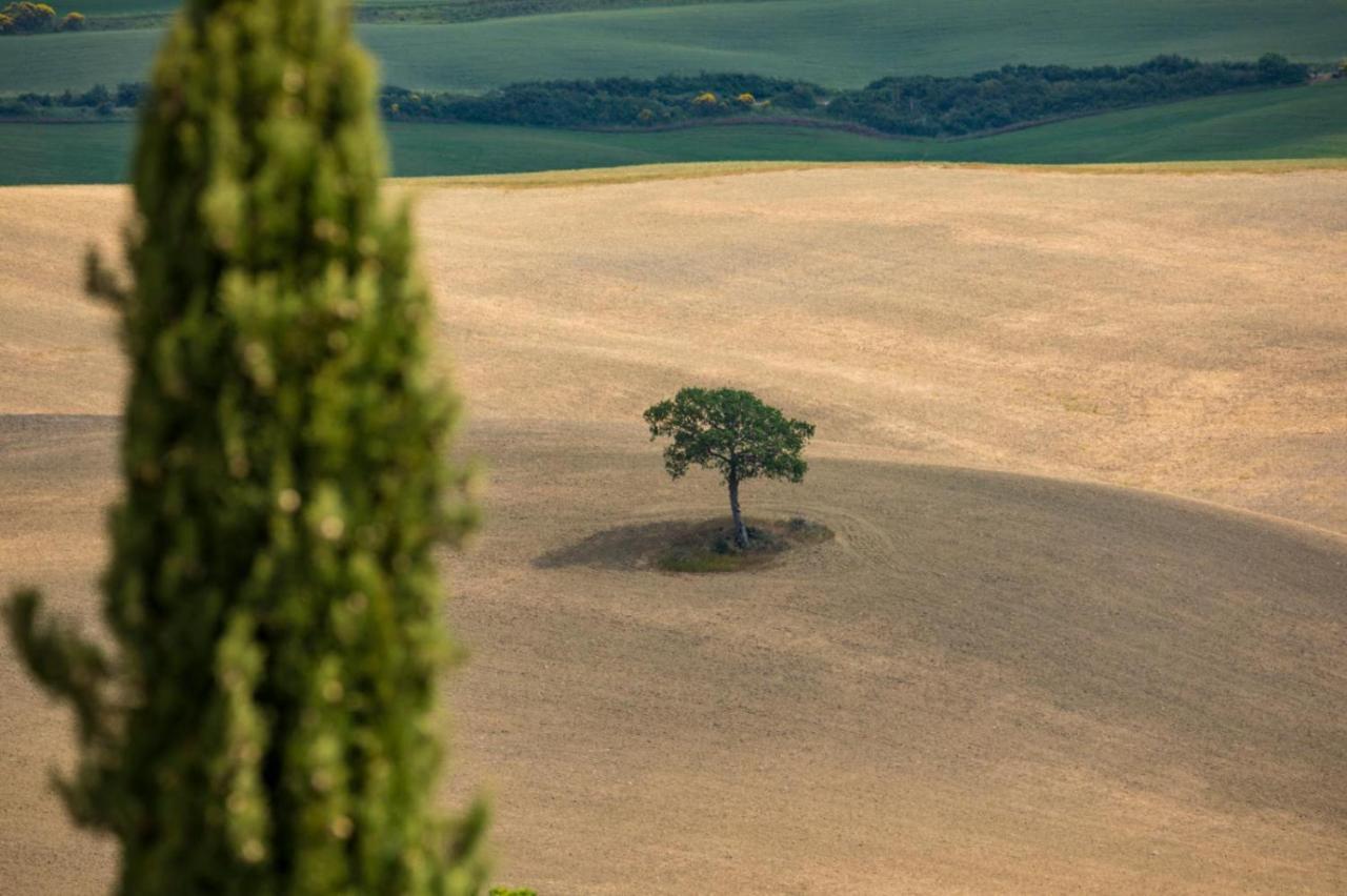 Agriturismo La Poderina バーニョ・ヴィニョーニ エクステリア 写真