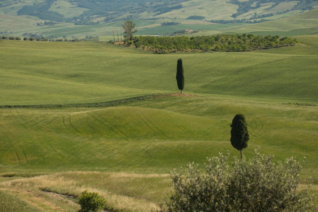 Agriturismo La Poderina バーニョ・ヴィニョーニ エクステリア 写真