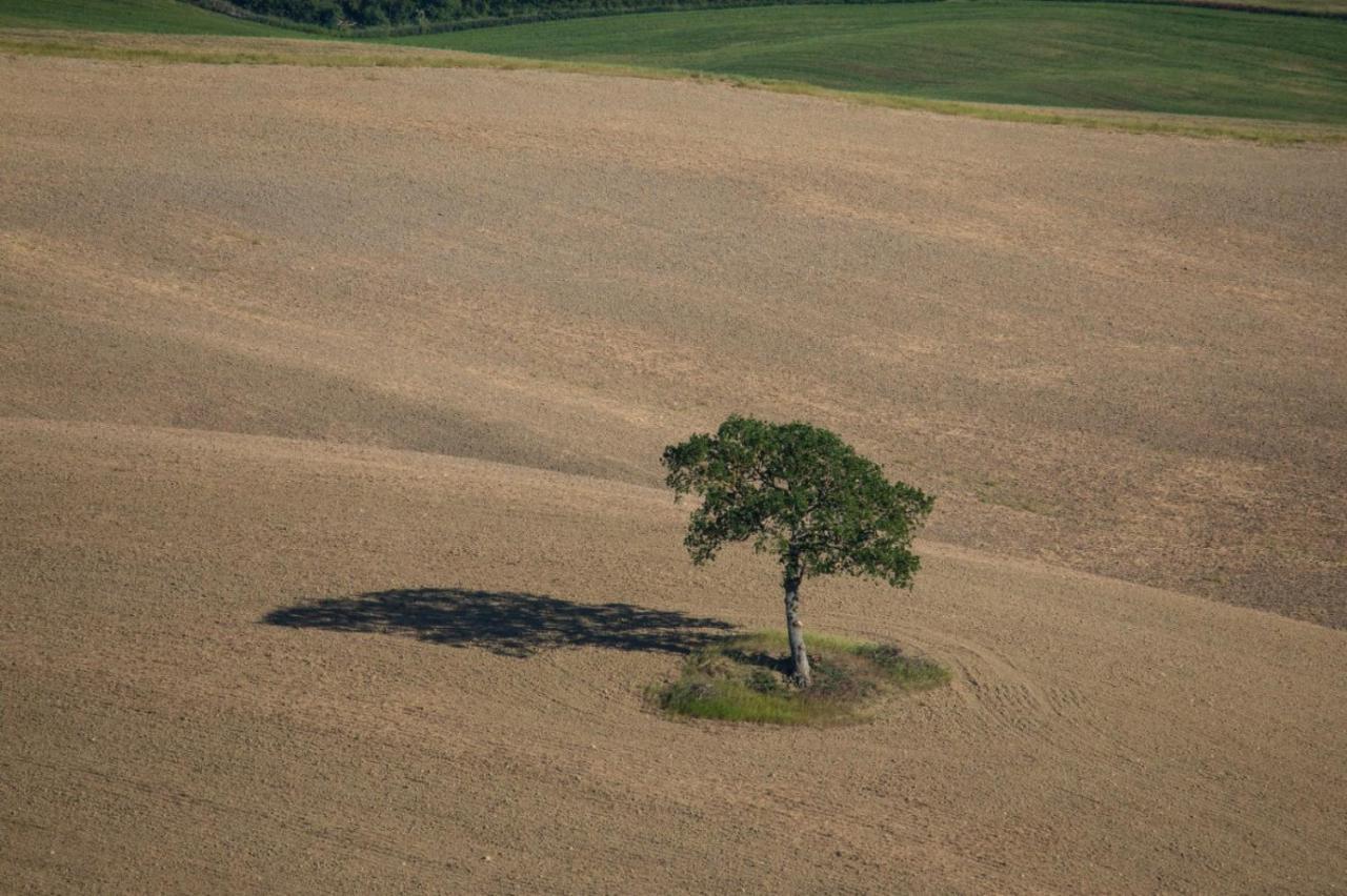 Agriturismo La Poderina バーニョ・ヴィニョーニ エクステリア 写真